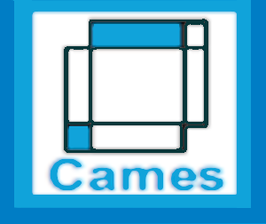 CAMES Architects and Engineers logo